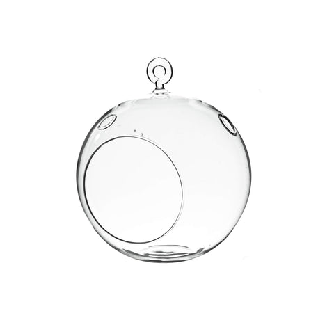 WGVI hanging terrarium globe with clear glass, ideal 6-inch display for succulents