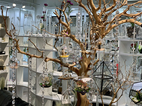 WGVI DIY terrarium globe inspires creative mini garden arrangements