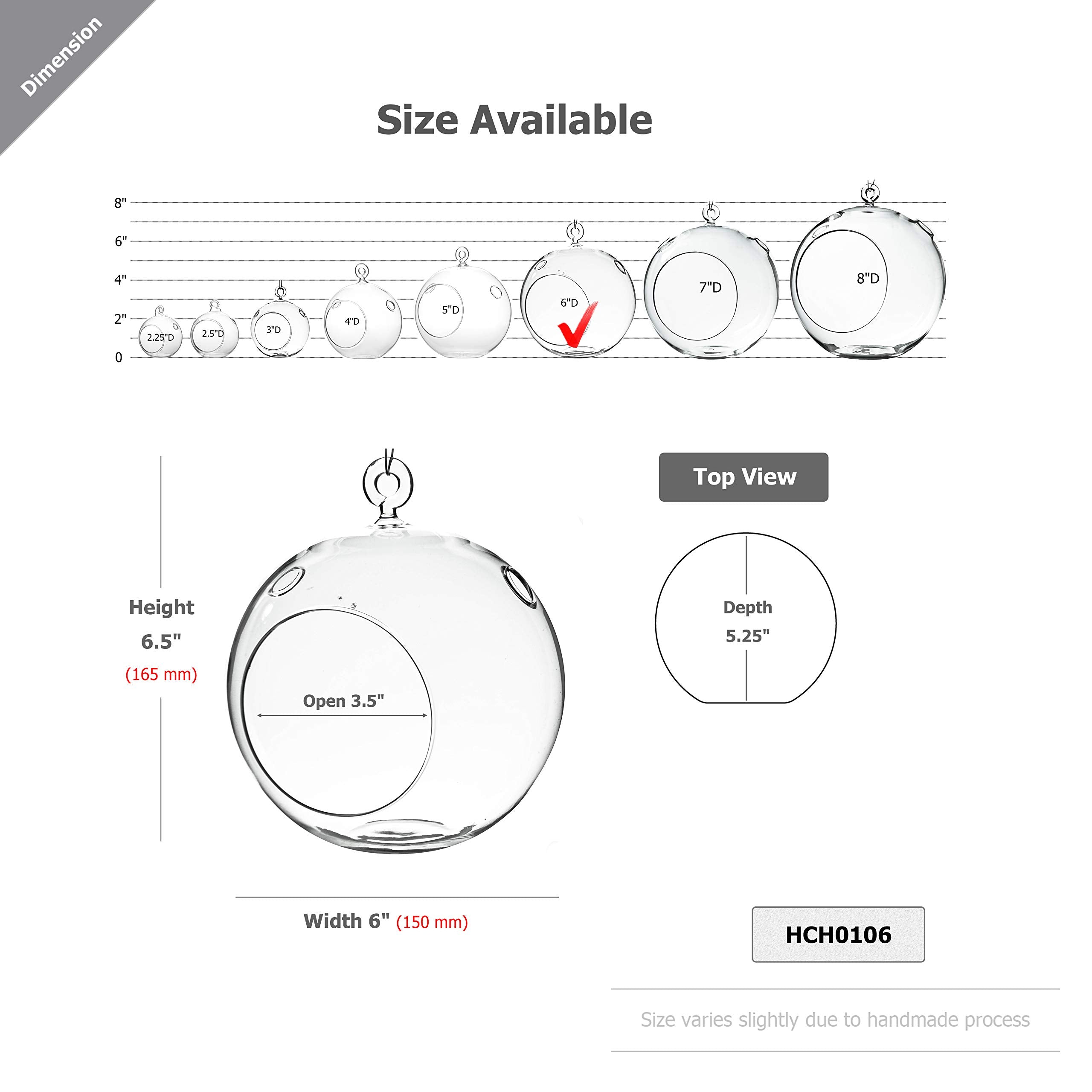 WGVI terrarium globe flat-bottom design enables stable surface placement