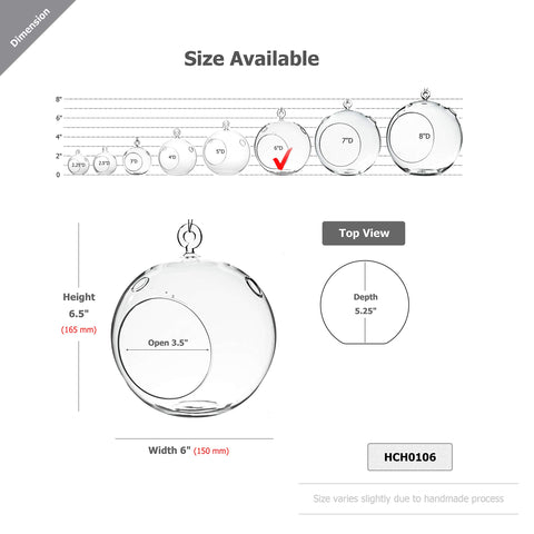 WGVI terrarium globe flat-bottom design enables stable surface placement