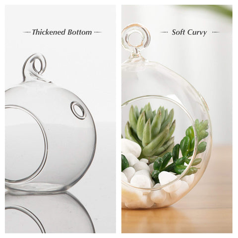 WGVI hanging terrarium with side holes for easy watering.
