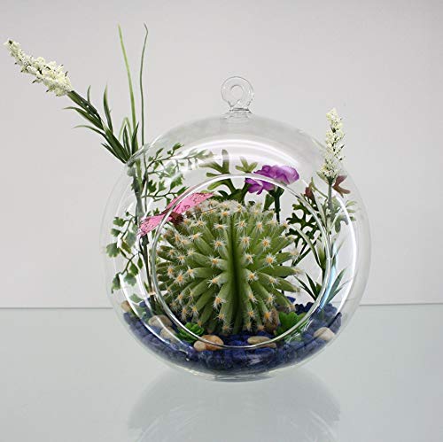 WGVI mini garden decor terrarium fits compact living areas