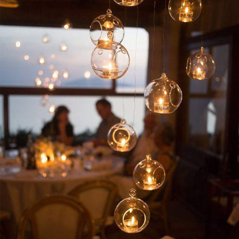 WGVI succulent display through glass orb for botanical charm