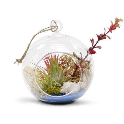 WGVI terrarium candle holder adds soft glow to spaces