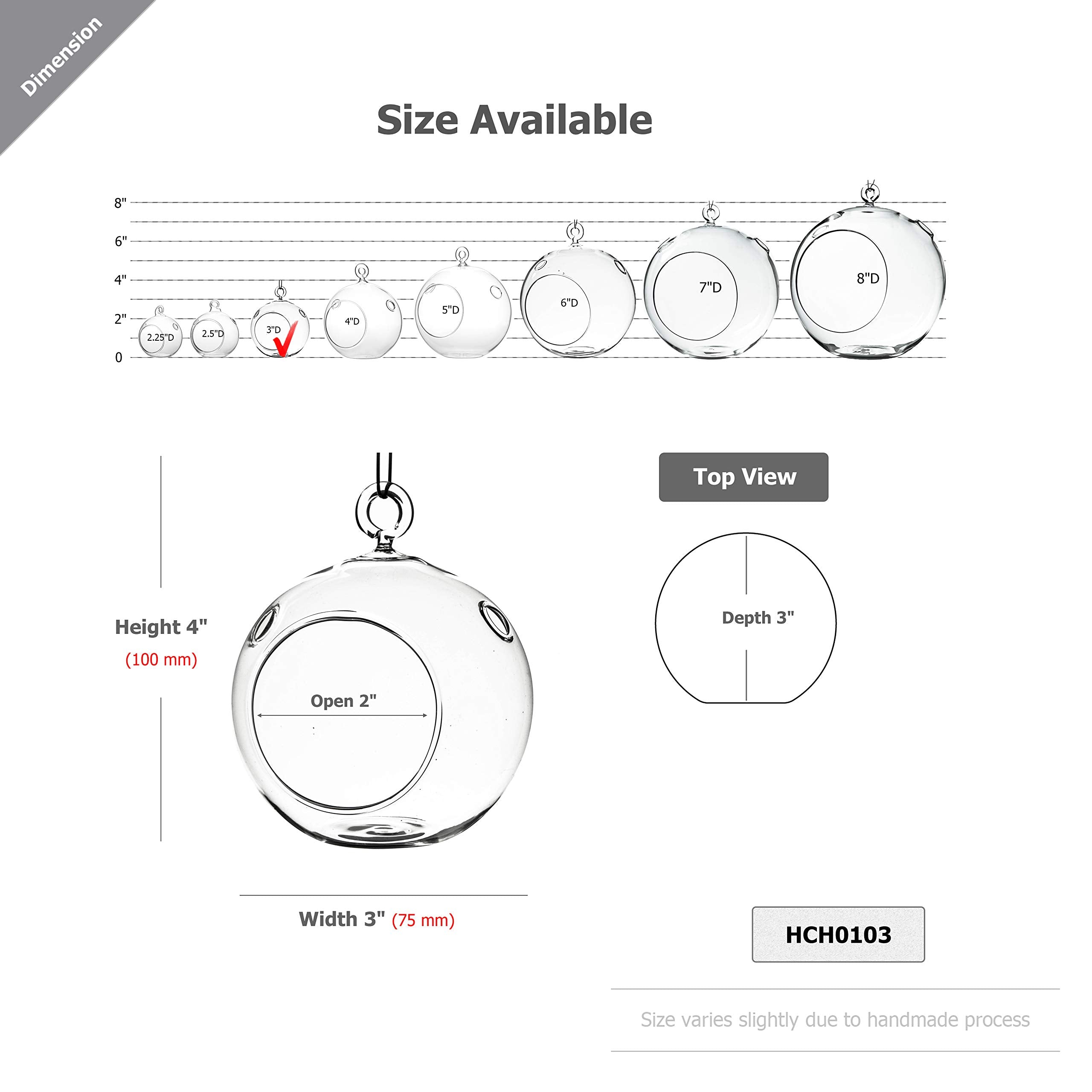 WGVI terrarium globe flat-bottom design for stable placement