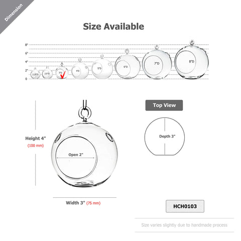 WGVI terrarium globe flat-bottom design for stable placement
