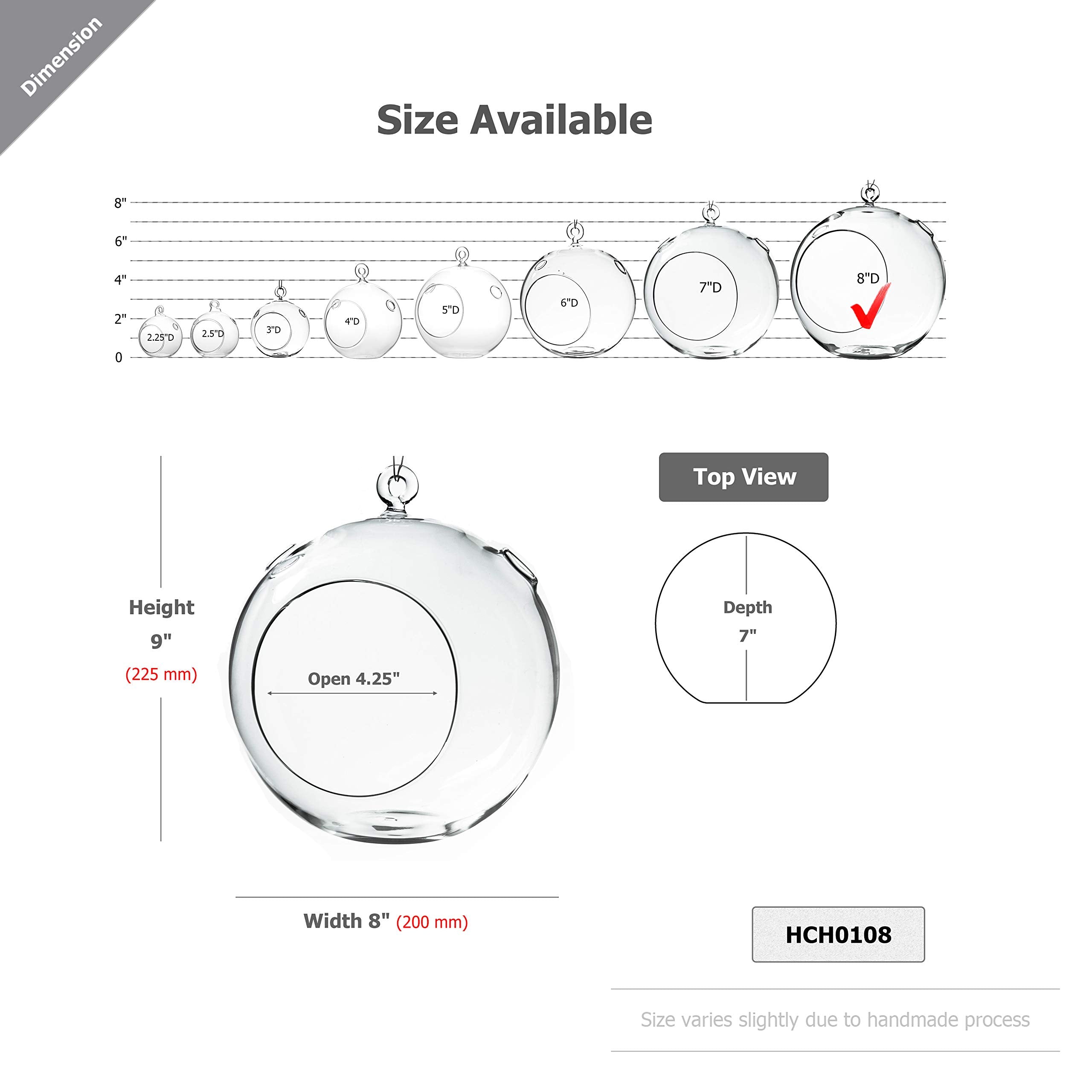 WGVI terrarium globe with flat bottom for stable surface placement.