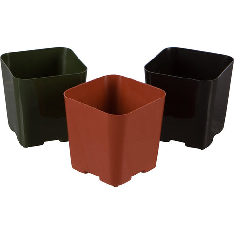 WH Garden Supply 2-Inch pot showing drainage holes for healthy watering