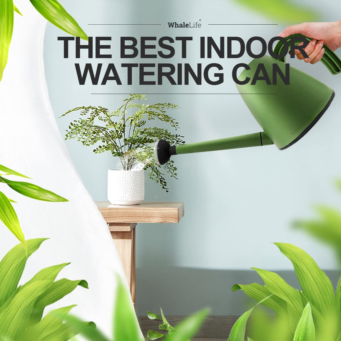 WhaleLife bonsai watering can suitable for delicate houseplants.