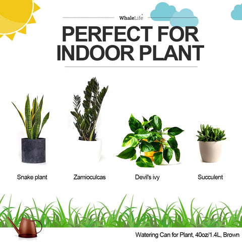 WhaleLife perfect for small balcony plants and desk gardens