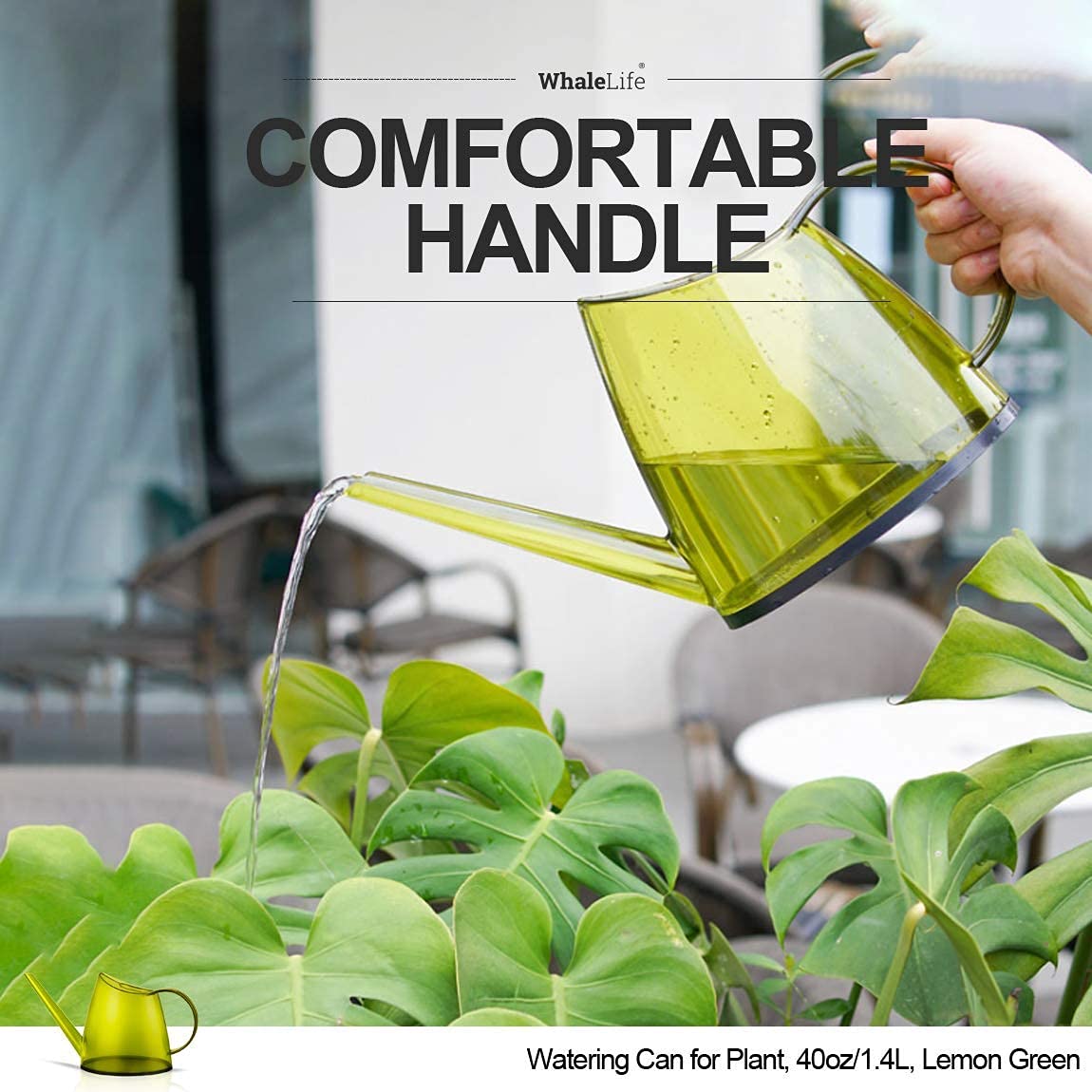 WhaleLife suitable for desk and windowsill garden setups
