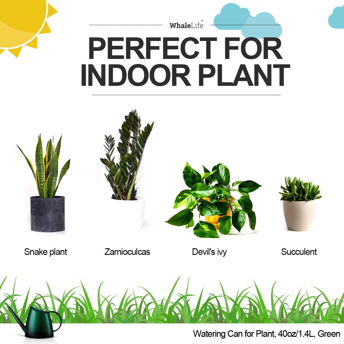 WhaleLife green plastic watering can offers durable, easy-to-handle indoor plant care