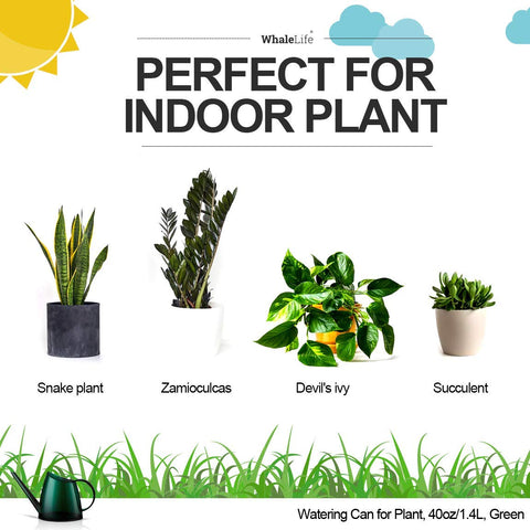 WhaleLife green plastic watering can offers durable, easy-to-handle indoor plant care