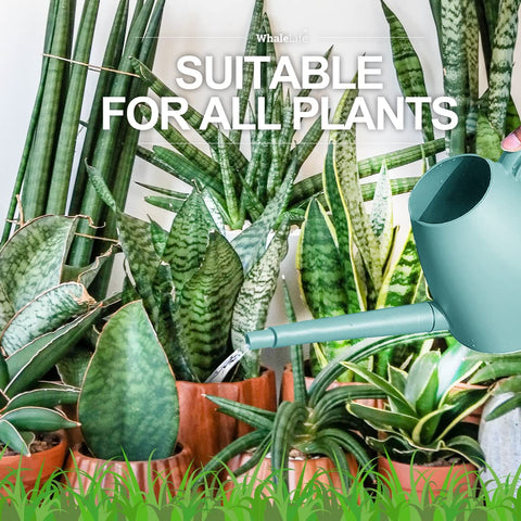 WhaleLife 2.0L blue capacity inside reduces frequent refills.