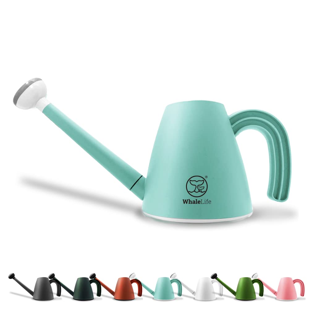 WhaleLife indoor watering can 2.0L blue front view for precise plant care.