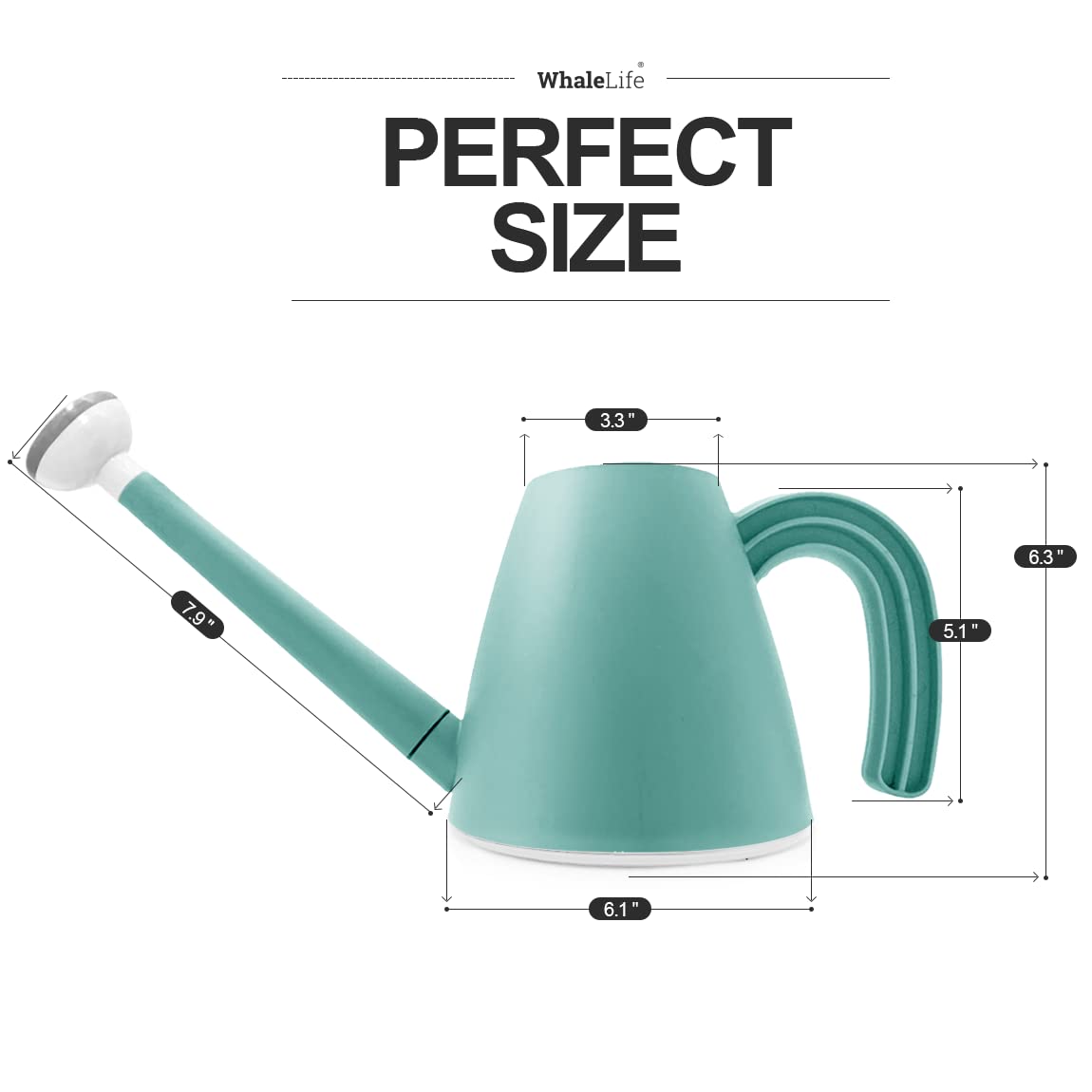 WhaleLife 2.0L blue handle grip for comfortable extended watering.