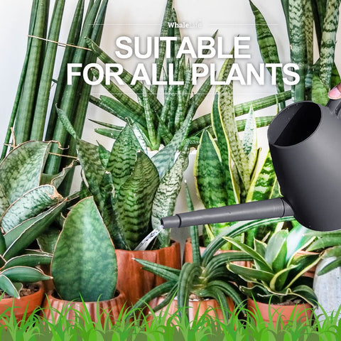 WhaleLife 2L gray watering can with ergonomic handle for comfortable desk plant care