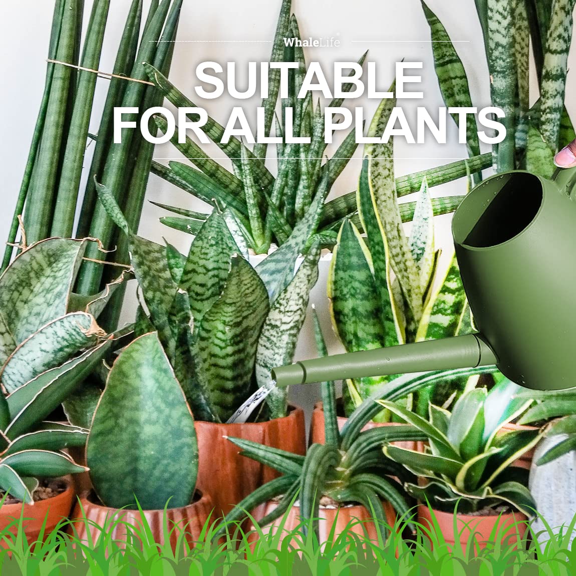 WhaleLife ideal for indoor spaces and balcony potted plants.