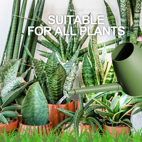 WhaleLife ideal for indoor spaces and balcony potted plants.
