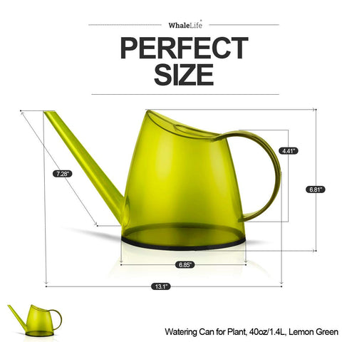 WhaleLife stylish space-saving design adds decor to any desk or windowsill