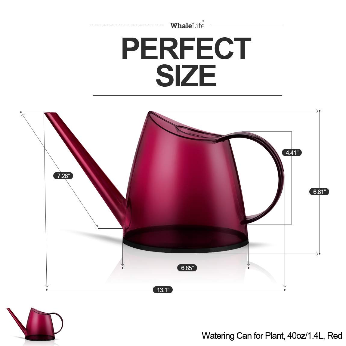 WhaleLife compact design watering can saves space on a windowsill.