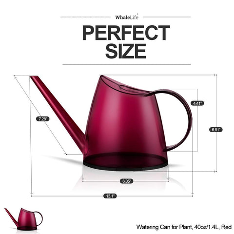 WhaleLife compact design watering can saves space on a windowsill.