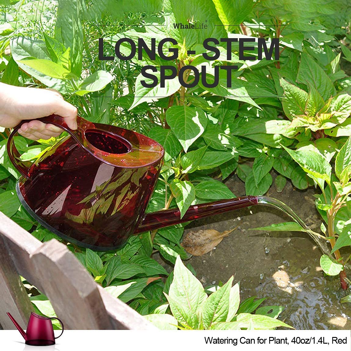 WhaleLife watering can suitable for desk herbs and succulents.