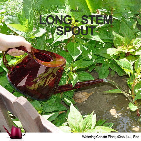 WhaleLife watering can suitable for desk herbs and succulents.