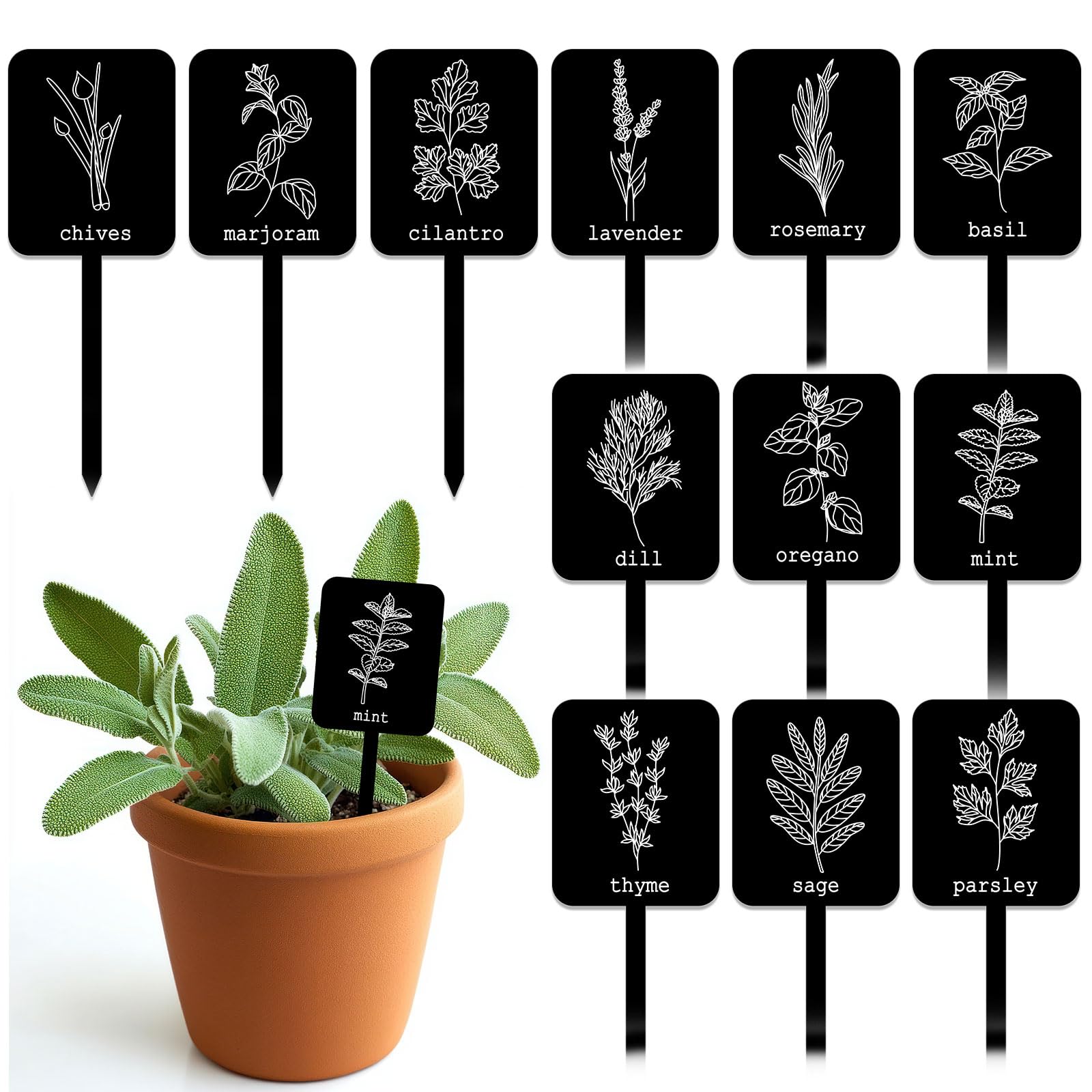 Whaline acrylic plant label signs in 12 styles for durable garden labeling
