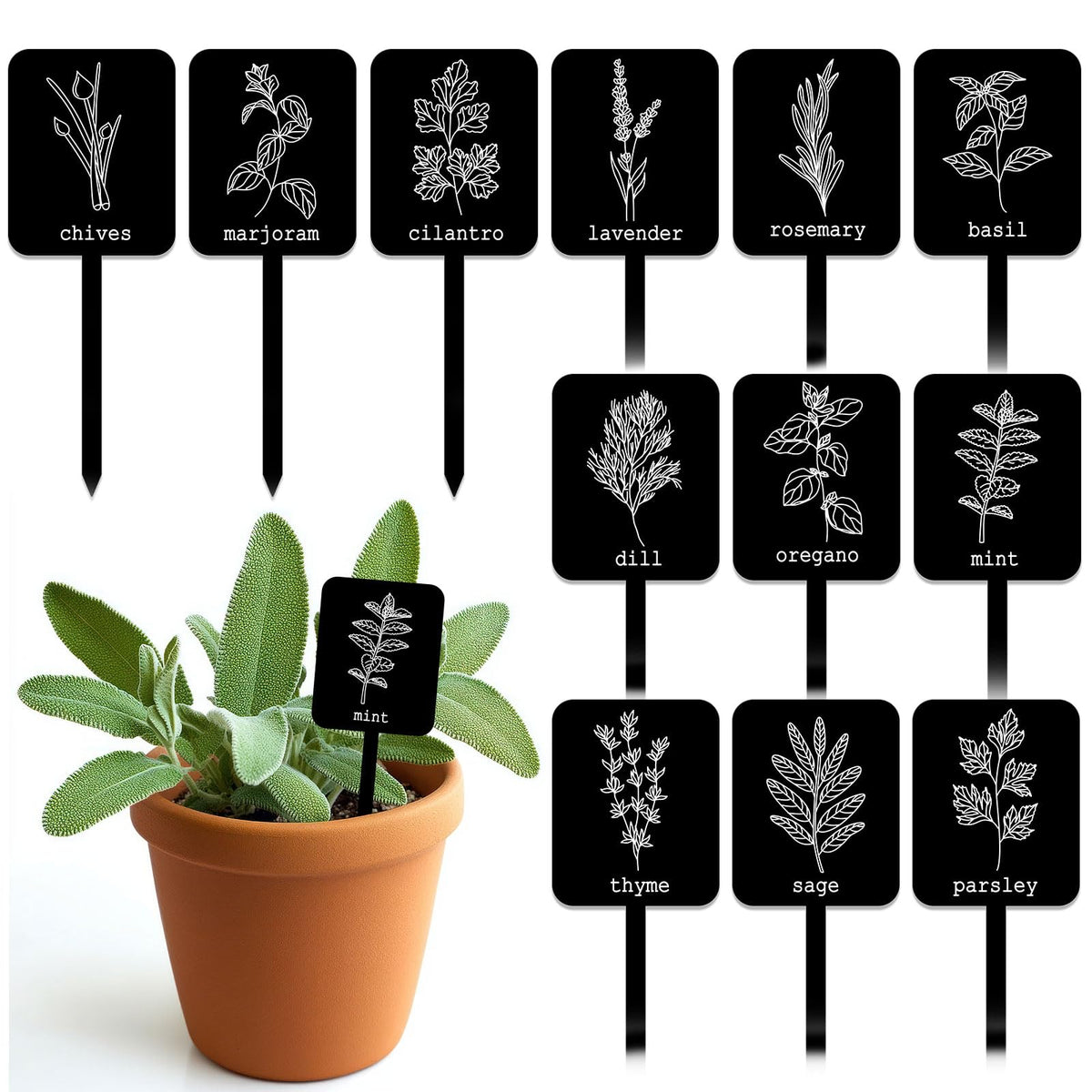 Whaline acrylic plant label signs in 12 styles for durable garden labeling