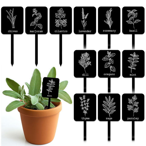 Whaline acrylic plant label signs in 12 styles for durable garden labeling