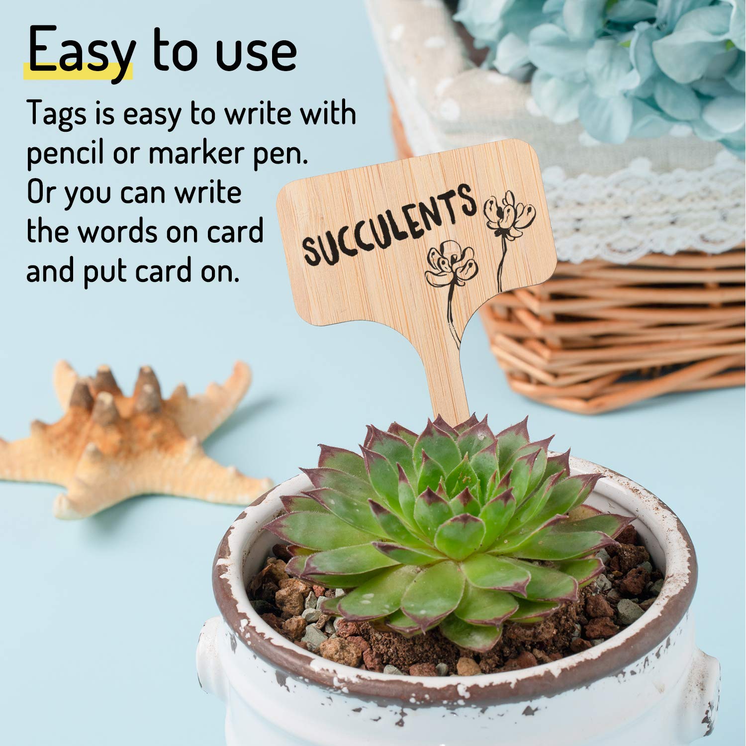 Natural bamboo garden markers add a warm touch to pots and garden beds.