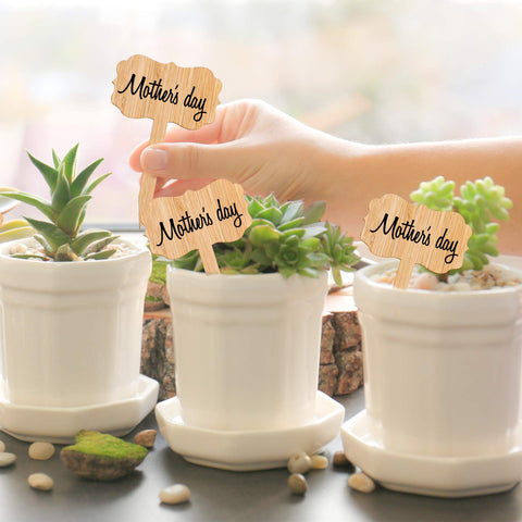 Whaline bamboo labels close-up highlighting natural material and writing surface