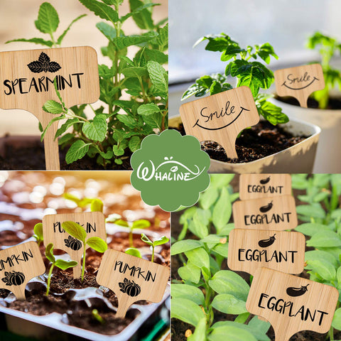 DIY-friendly Whaline labels support classroom projects and home garden decoration.