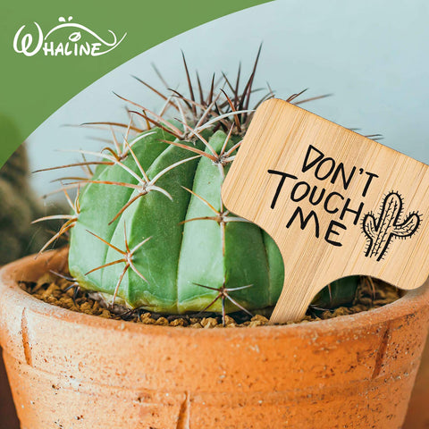 Double-sided writable plant tags provide extra space for plant varieties and care notes.