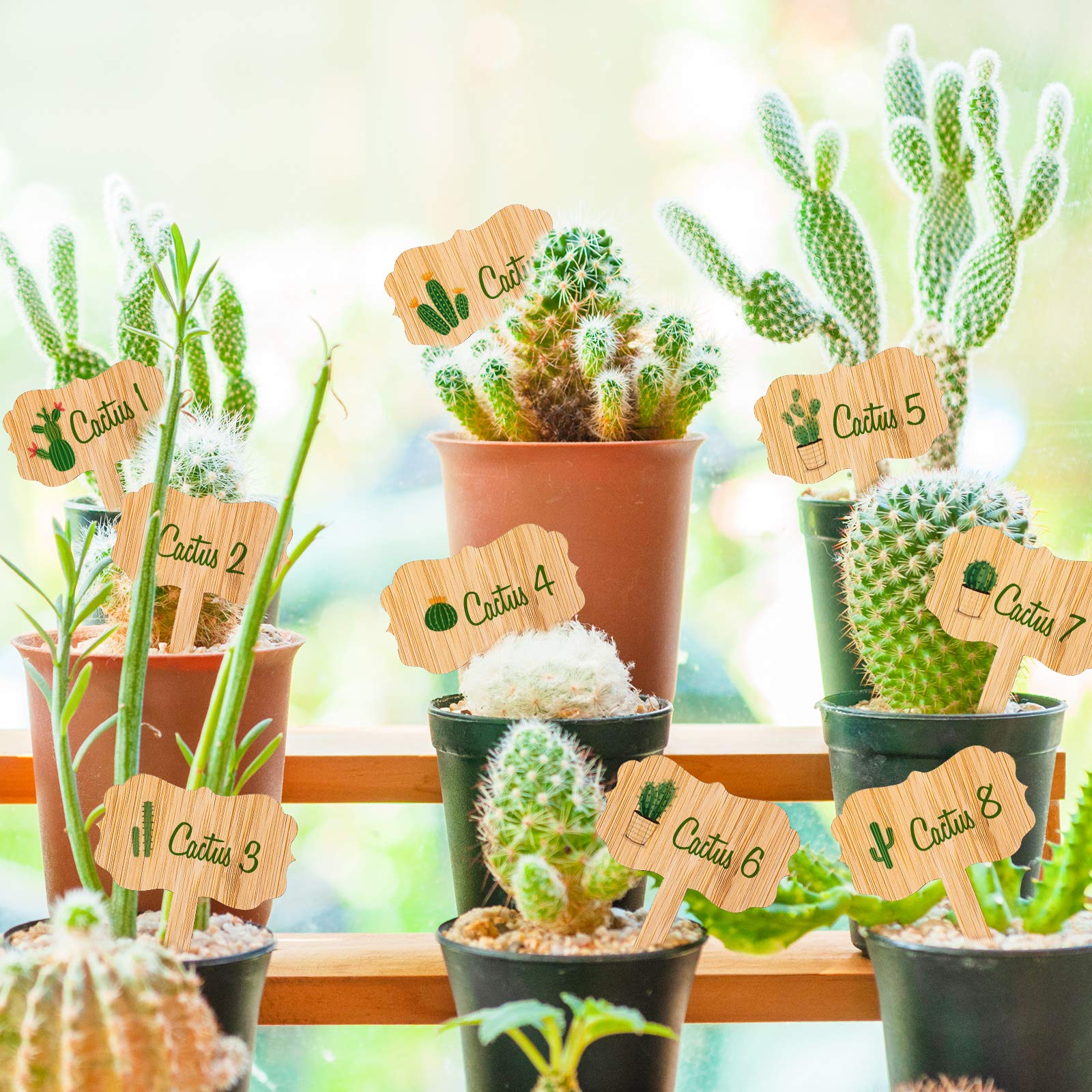 Whaline eco-friendly garden tags on a pot with green plants
