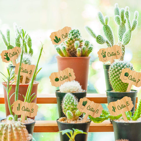 Whaline eco-friendly garden tags on a pot with green plants