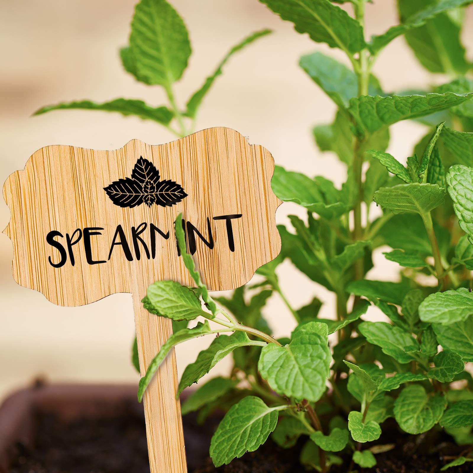 Whaline garden labels shown on pots for quick plant identification