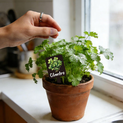 Whaline garden marker set with 12 pieces improves labeling.
