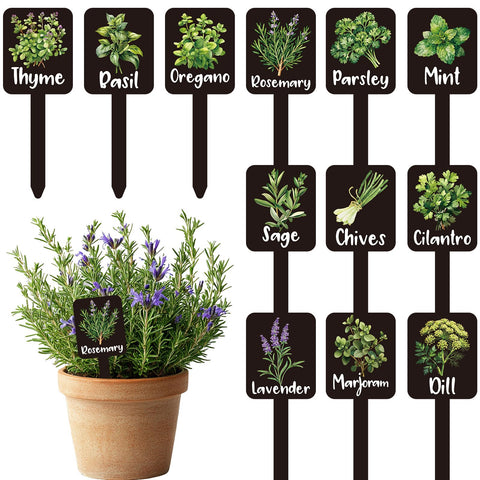 Whaline herb label sign in 12 styles for easy garden identification.