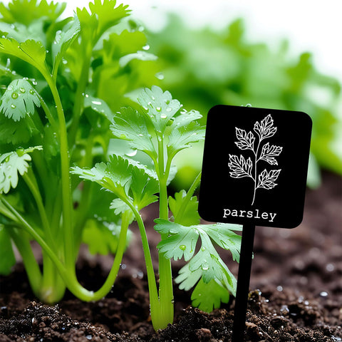Whaline herb-name designs aid quick planning and labeling
