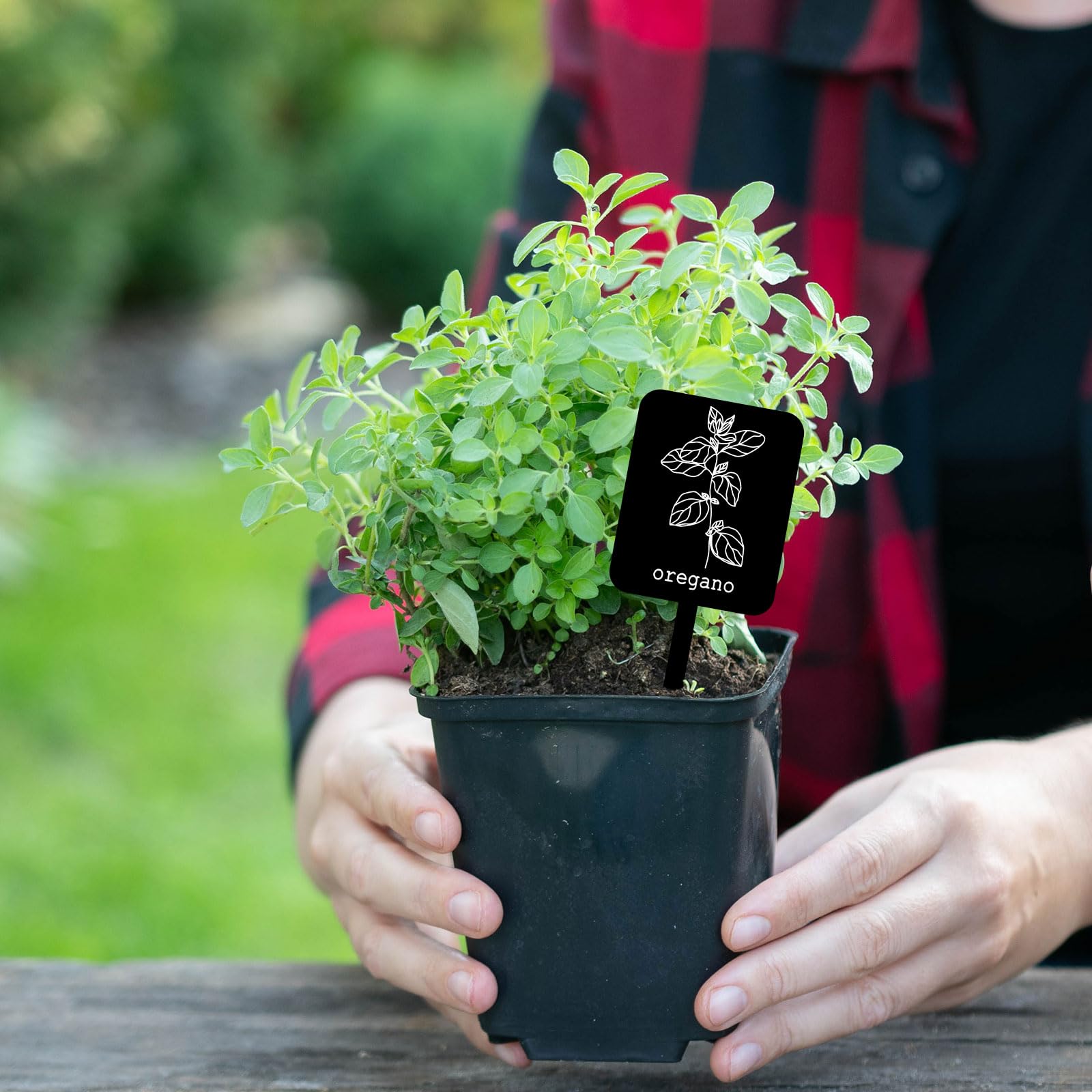 Whaline mini labels on pots improve garden aesthetics and care
