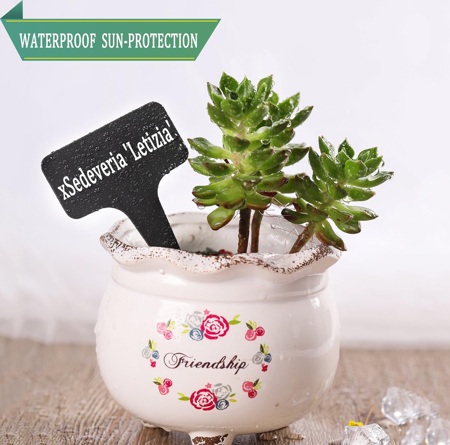 Whaline black finish blends with foliage for discreet garden labeling.