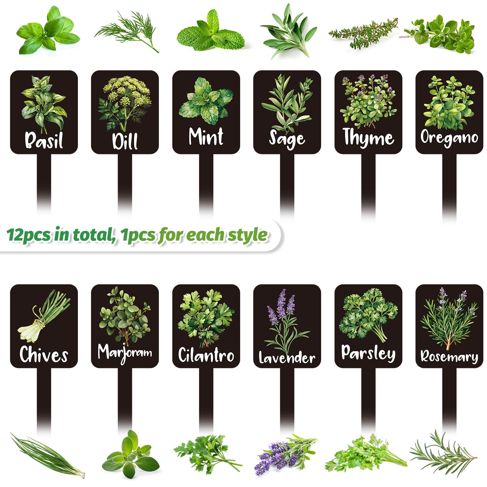 Whaline plant stake tag with names keeps herbs organized.