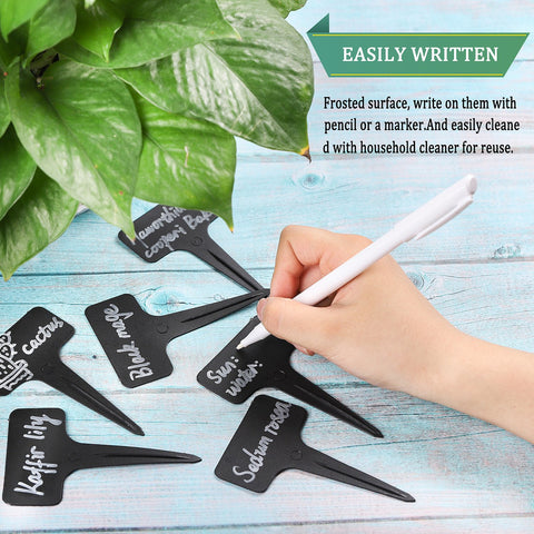 Whaline 6x10 cm plant labels fit most pots and seedlings.