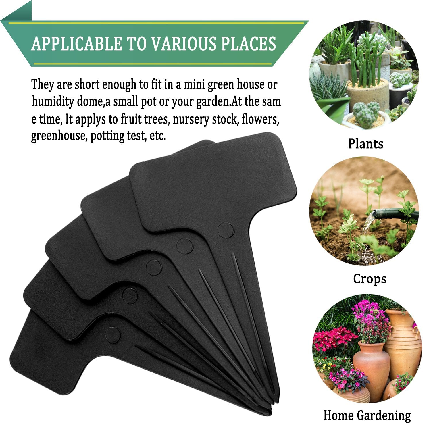 Whaline reusable garden stakes help organize care across indoors and outdoors.
