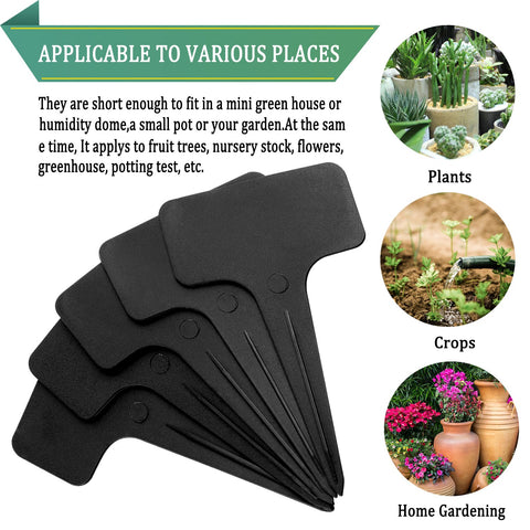 Whaline reusable garden stakes help organize care across indoors and outdoors.