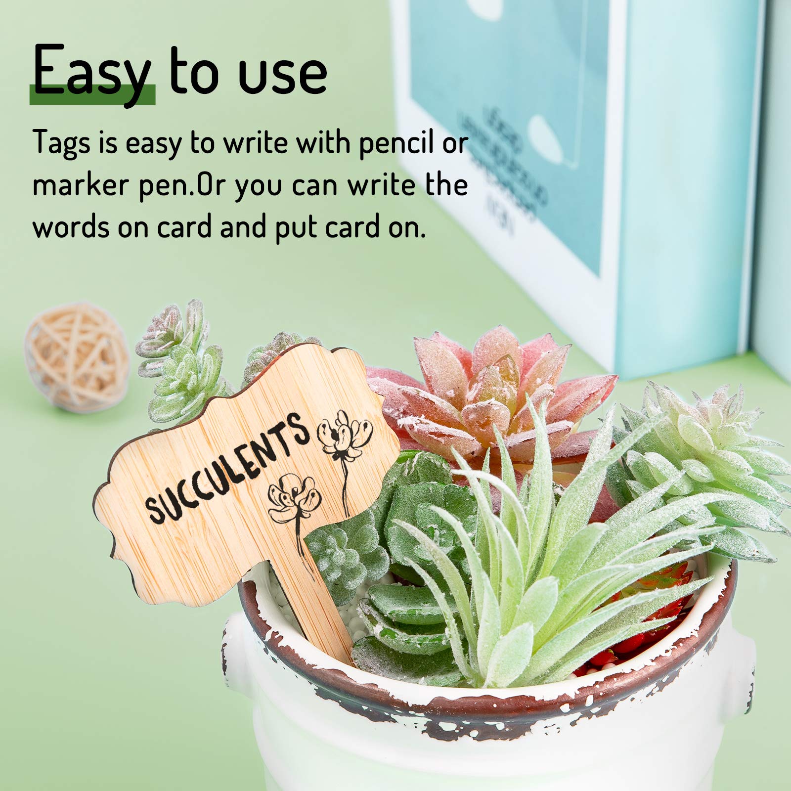Whaline T-type wooden tags displayed for neat labeling in garden