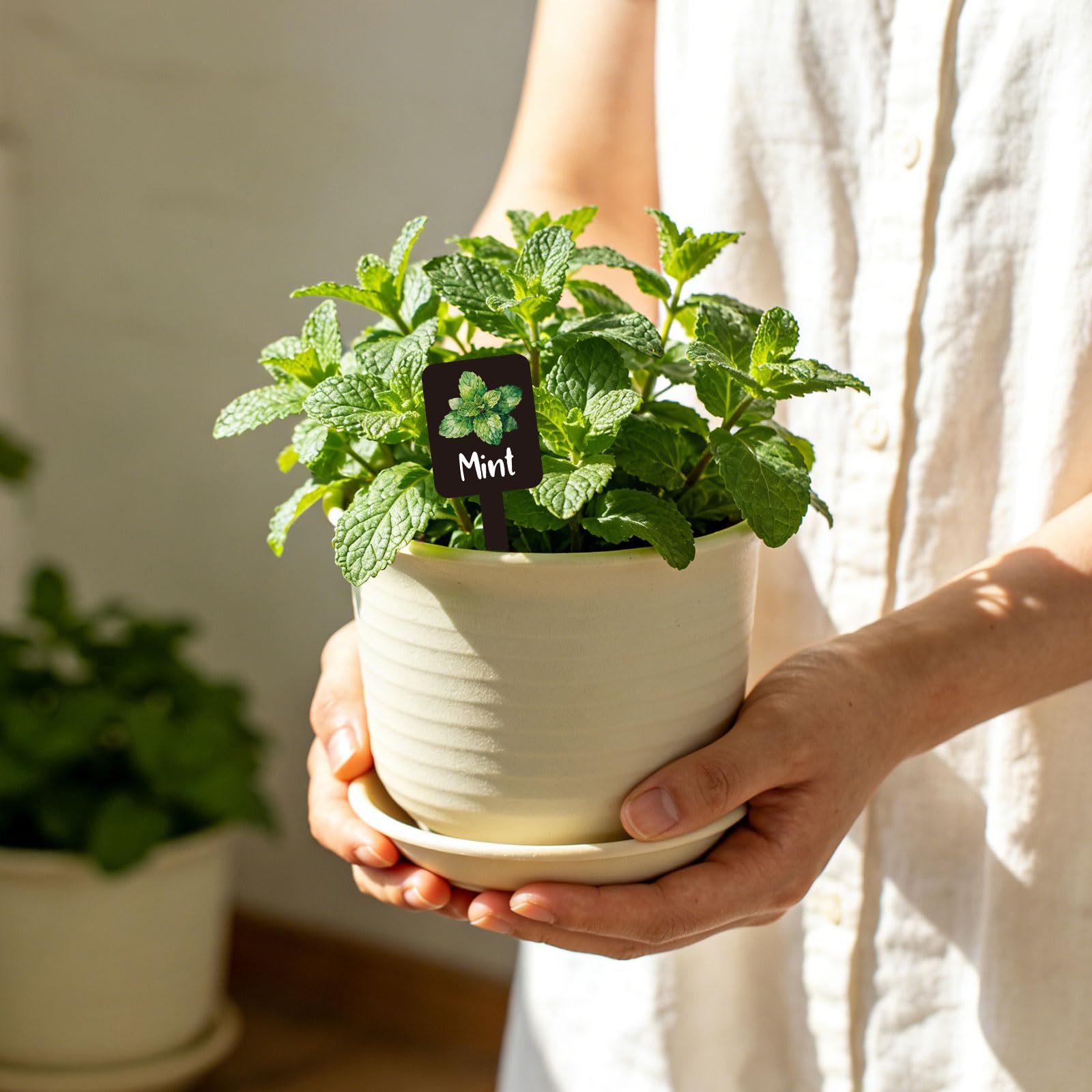 Whaline thickened acrylic garden tags resist breakage in pots.