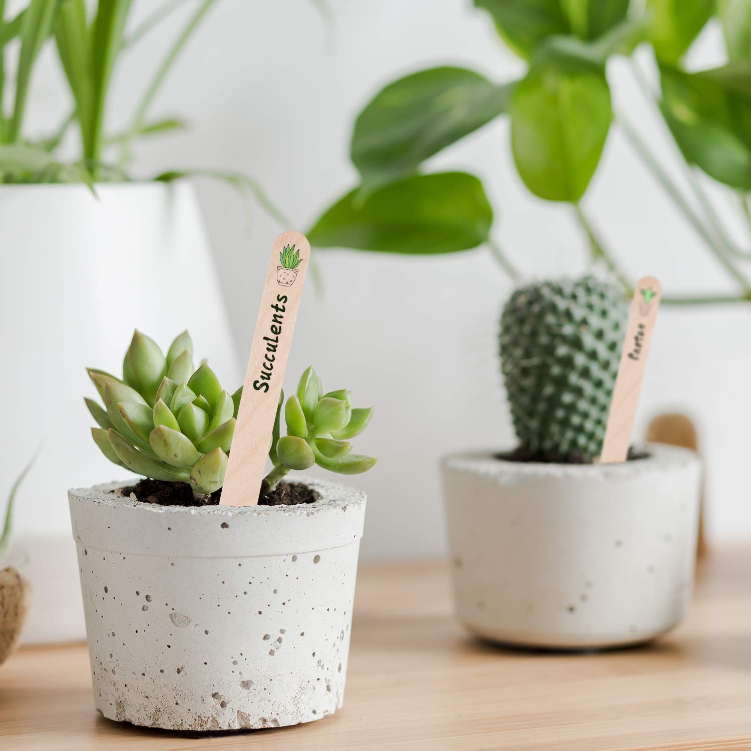 Whaline waterproof writing surface helps labels resist rain without fading.